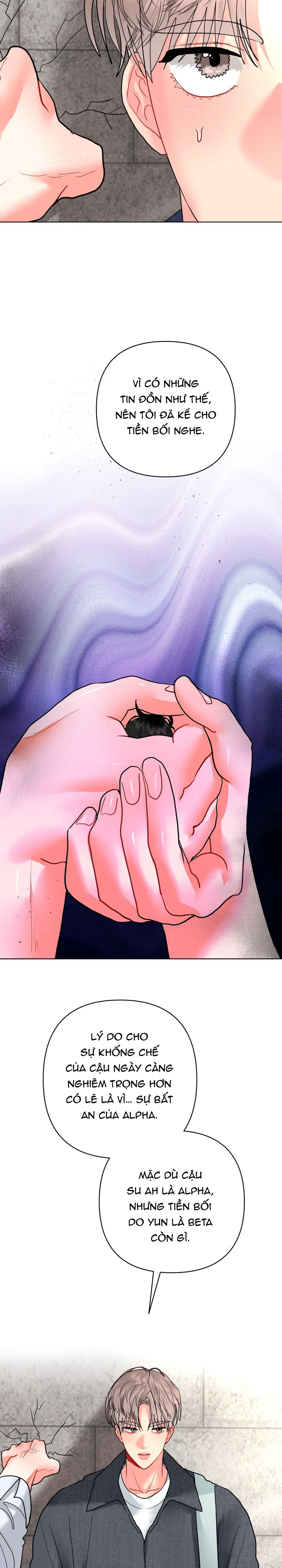 (ABO) OMEGA CỦA ANH TRAI Chapter 34 Trang 25