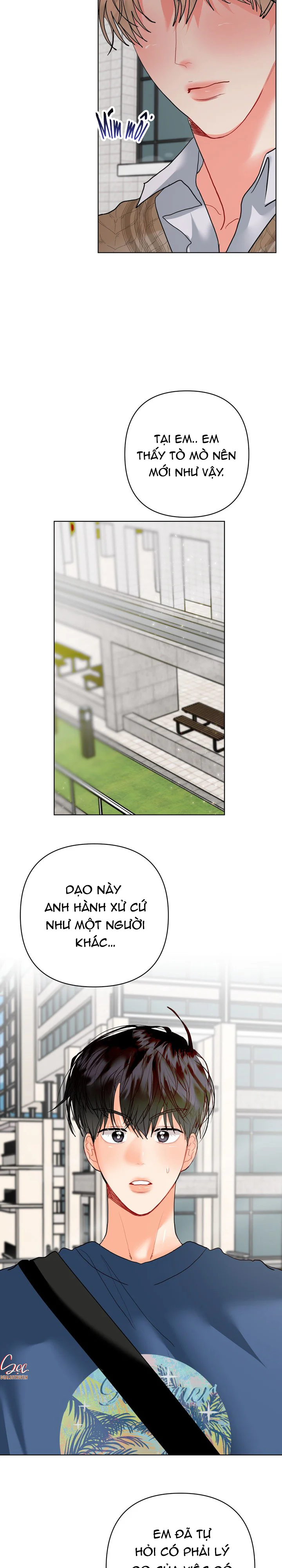 (ABO) OMEGA CỦA ANH TRAI Chapter 35 Trang 6