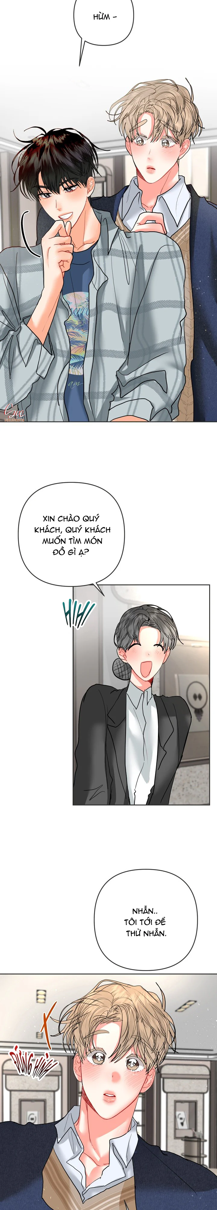 (ABO) OMEGA CỦA ANH TRAI Chapter 36 Trang 5