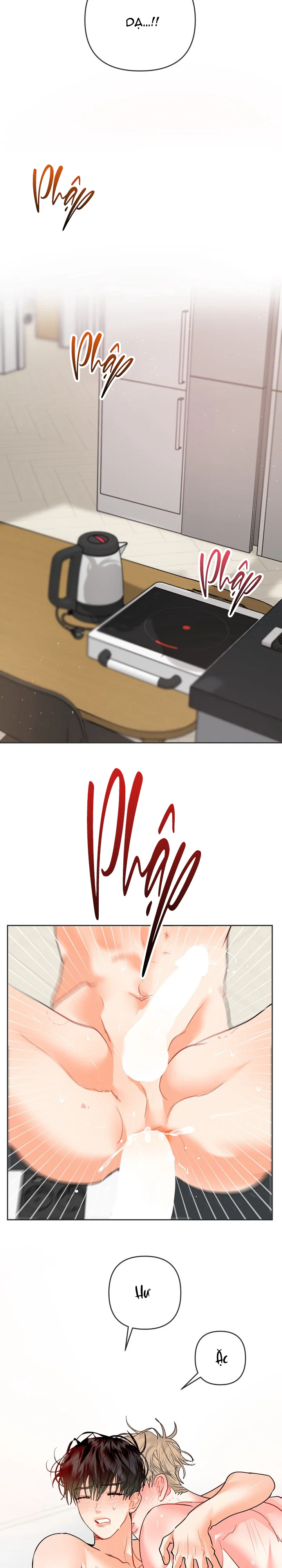 (ABO) OMEGA CỦA ANH TRAI Chapter 36 Trang 14