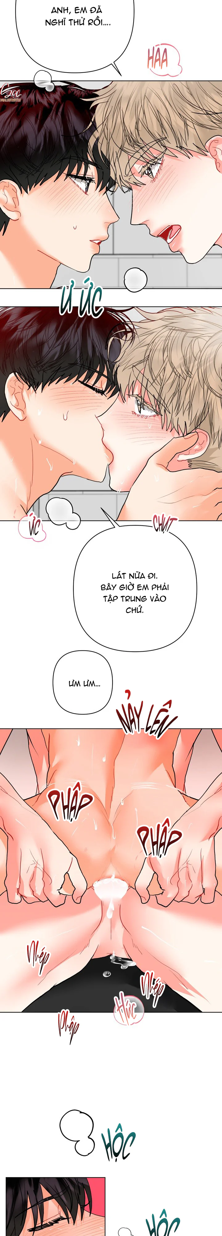 (ABO) OMEGA CỦA ANH TRAI Chapter 36 Trang 17