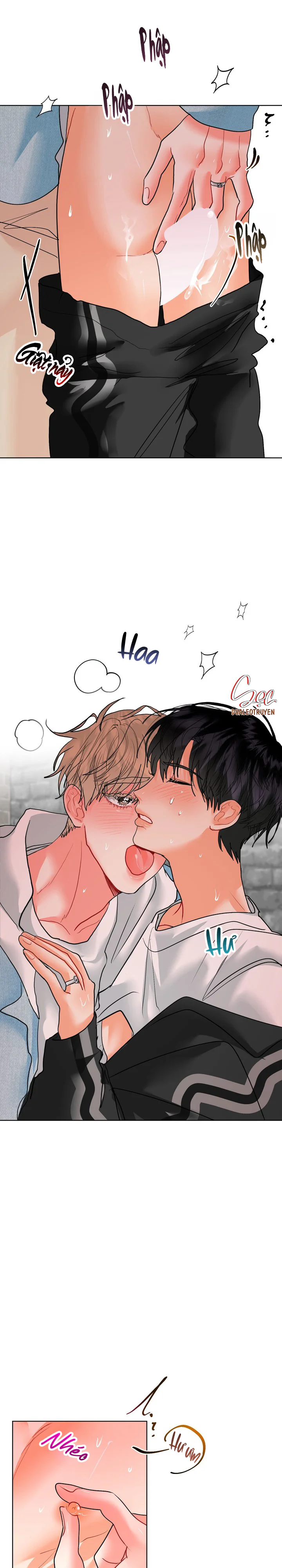 (ABO) OMEGA CỦA ANH TRAI Chapter 37 Trang 19