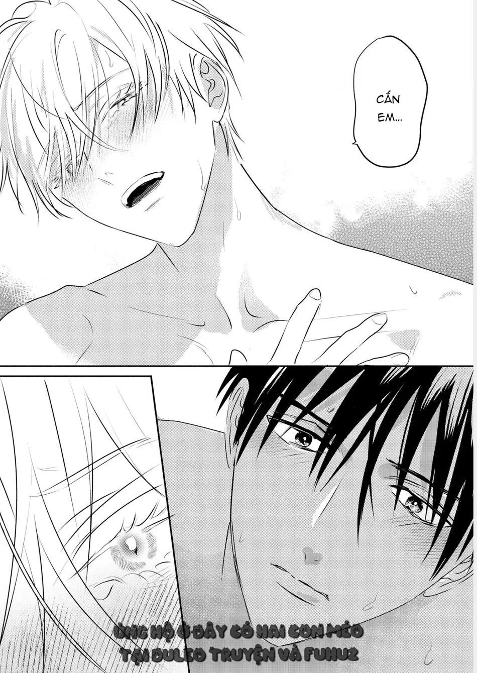 Omega Của Hoàng Cung Chapter 12 Trang 26