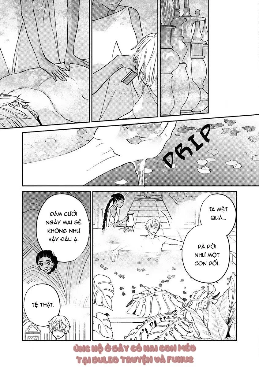 Omega Của Hoàng Cung Chapter 1 Trang 15