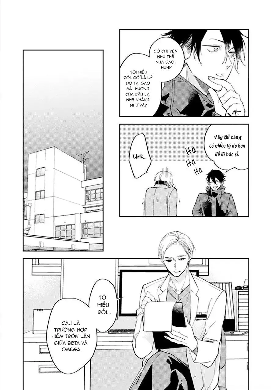 Omega của tôi không thức dậy Chapter 2 Trang 13