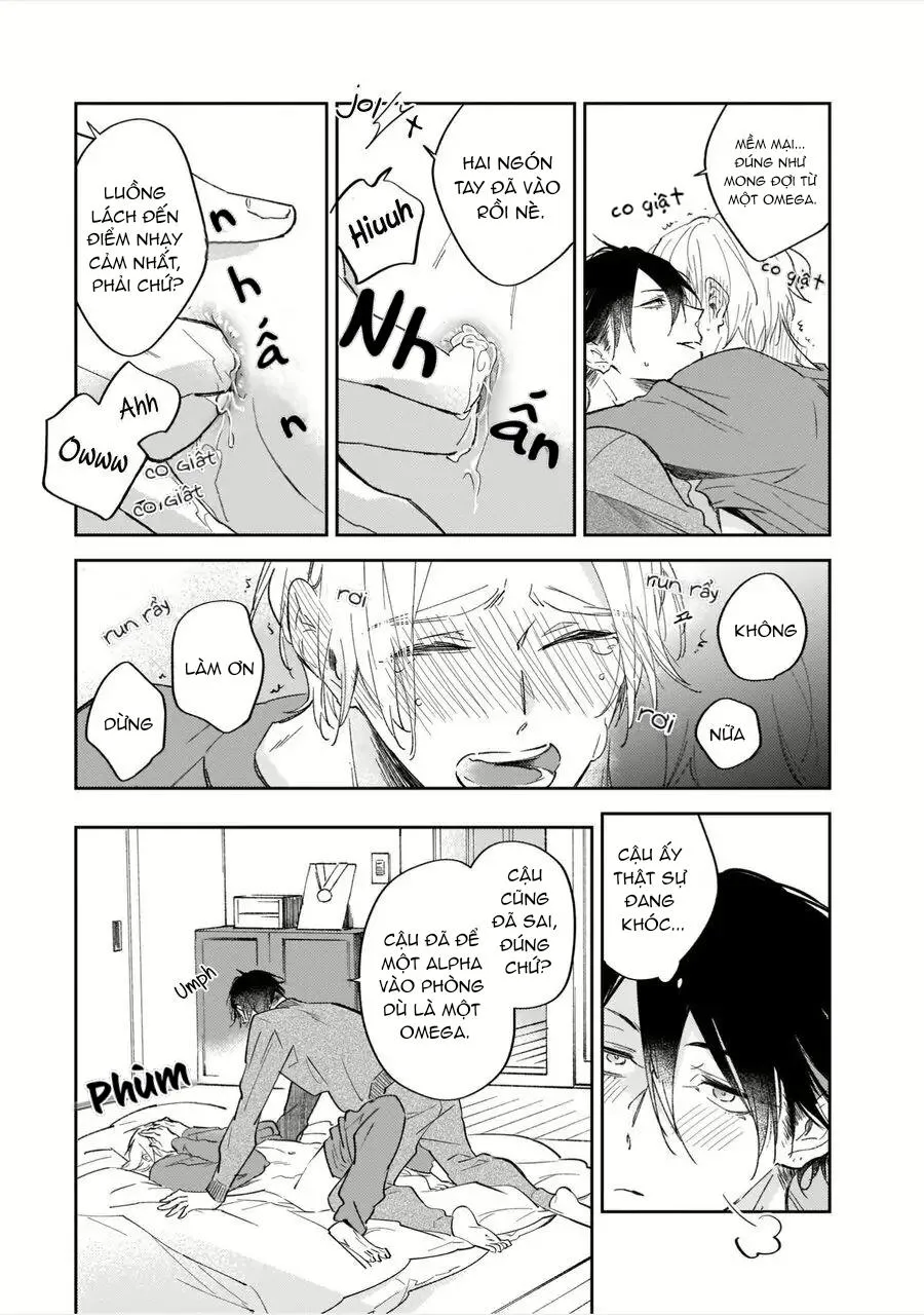 Omega của tôi không thức dậy Chapter 1 Trang 29