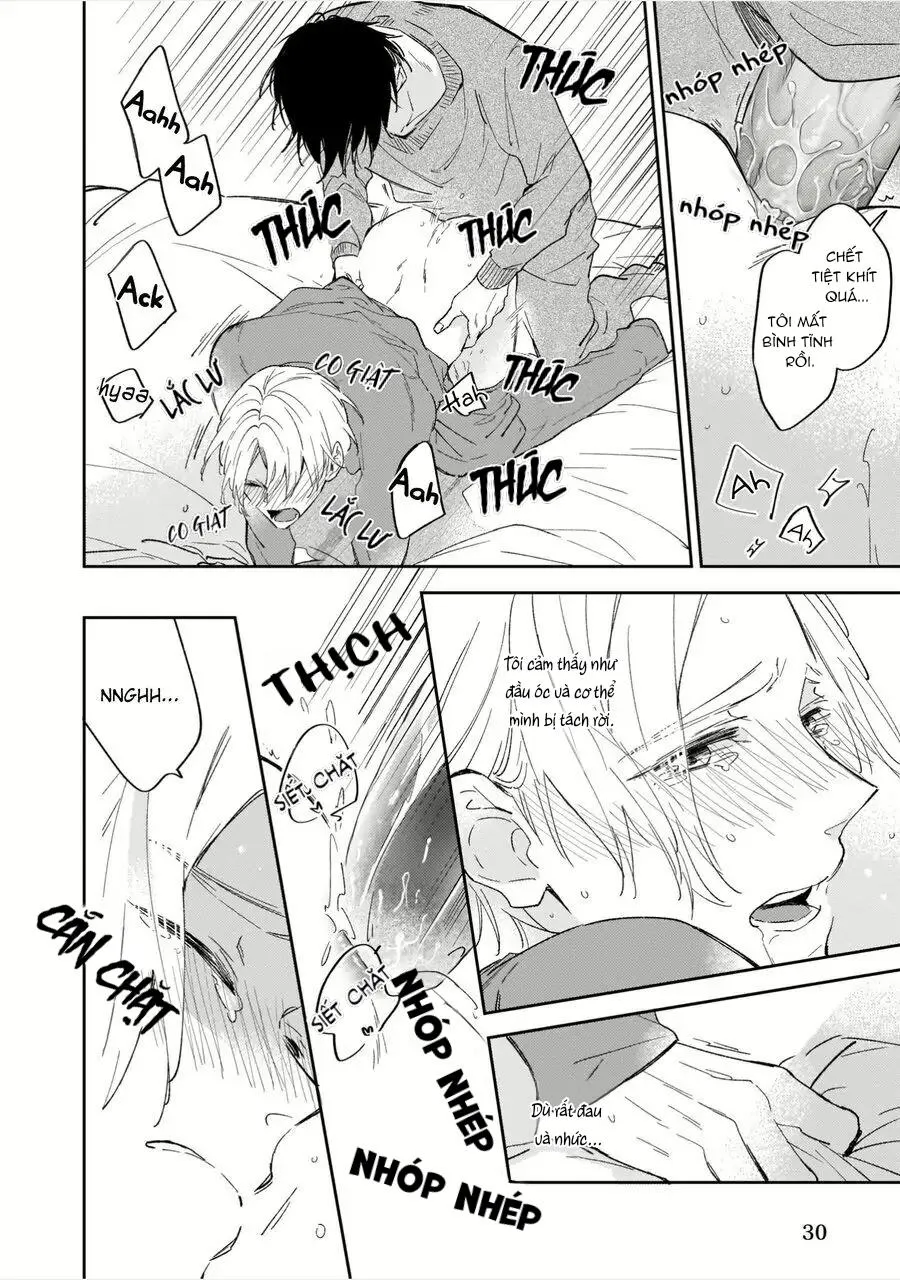 Omega của tôi không thức dậy Chapter 1 Trang 32