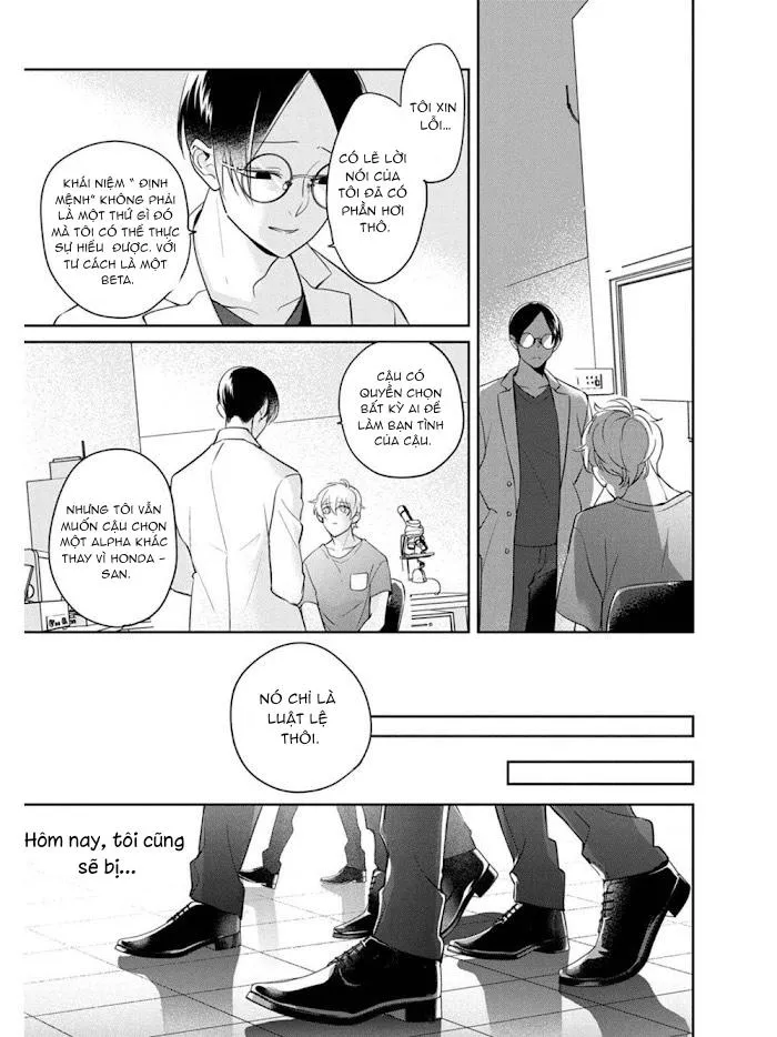 Omega cuối cùng không thể bị đánh dấu!!! Chapter 2 Trang 7
