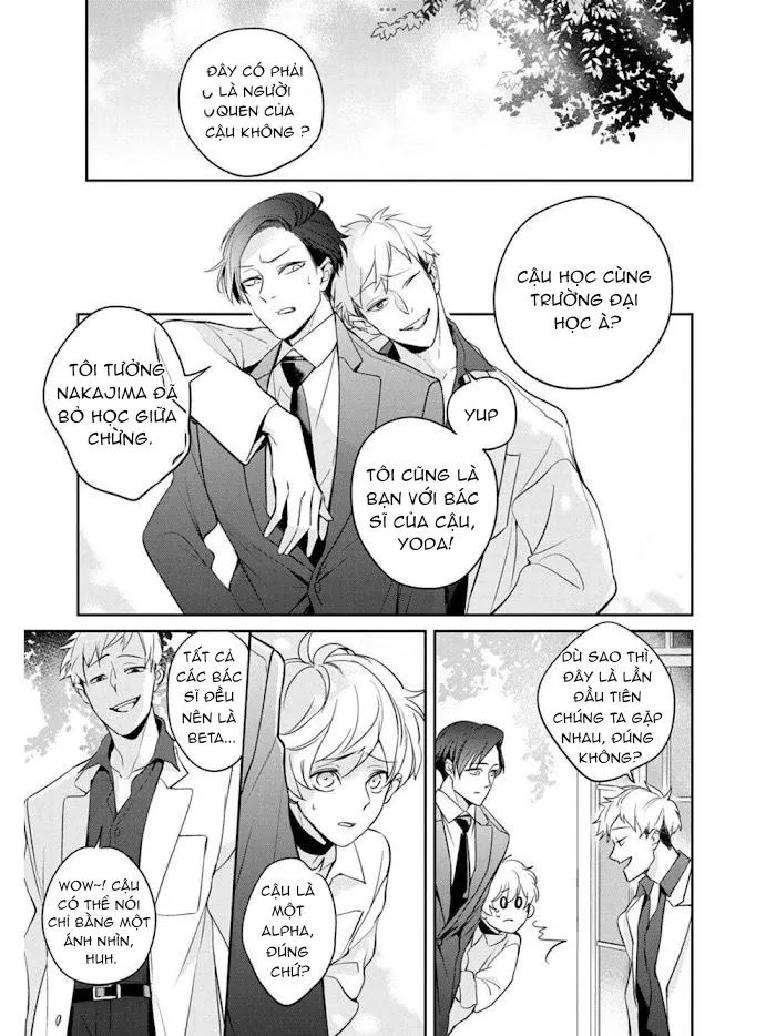 Omega cuối cùng không thể bị đánh dấu!!! Chapter 2 Trang 13