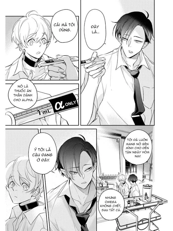 Omega cuối cùng không thể bị đánh dấu!!! Chapter 2 Trang 18