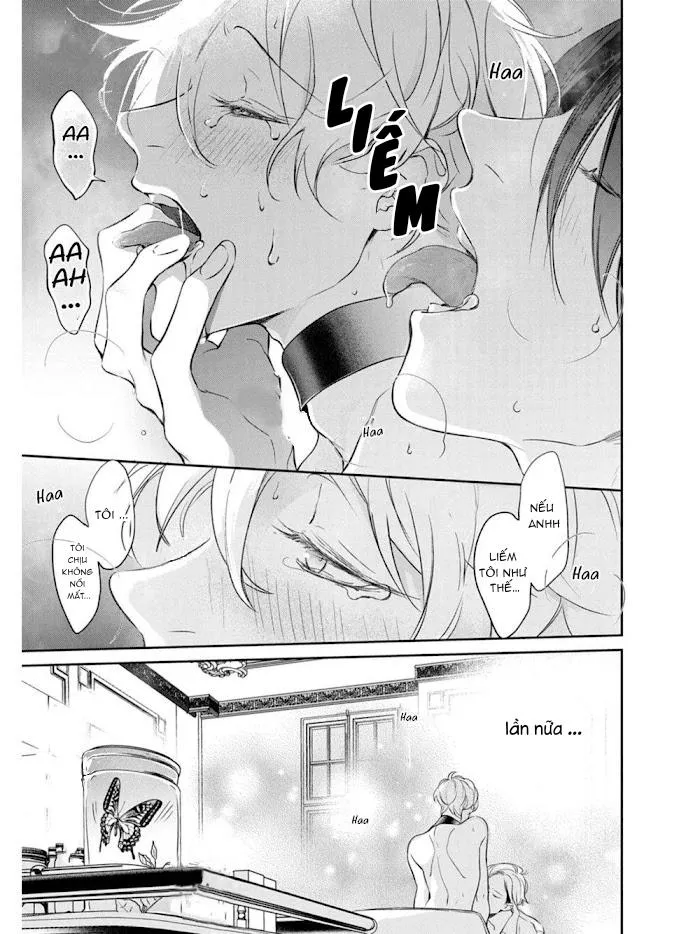 Omega cuối cùng không thể bị đánh dấu!!! Chapter 2 Trang 26