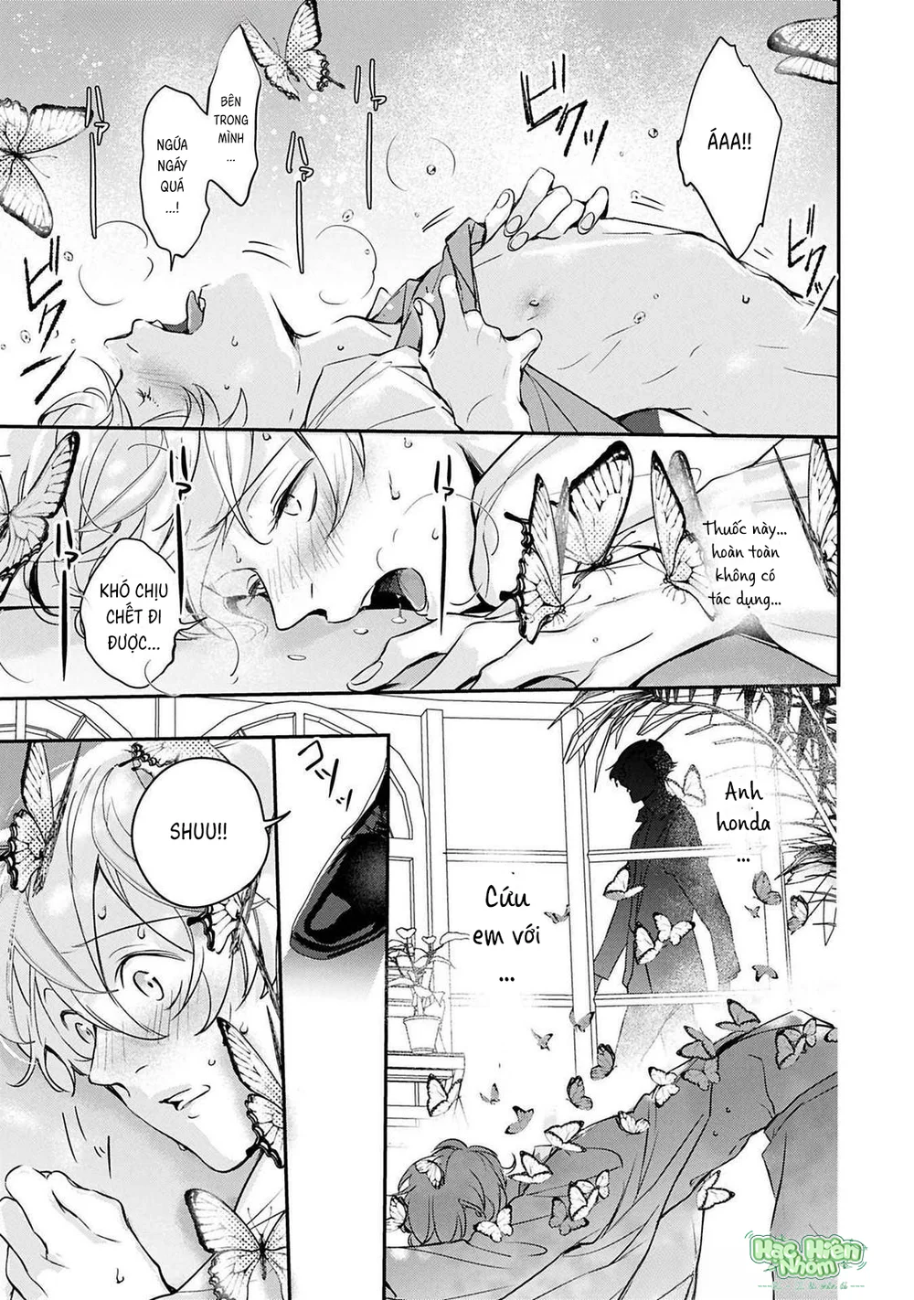 Omega cuối cùng không thể bị đánh dấu!!! Chapter 5 Trang 27