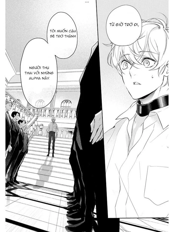 Omega cuối cùng không thể bị đánh dấu!!! Chapter 1 Trang 6