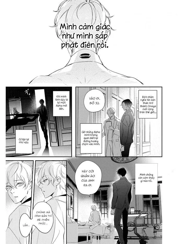 Omega cuối cùng không thể bị đánh dấu!!! Chapter 1 Trang 11