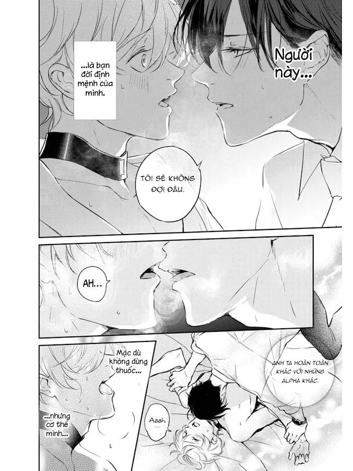 Omega cuối cùng không thể bị đánh dấu!!! Chapter 1 Trang 14