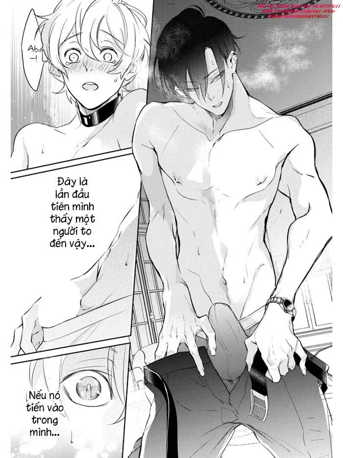 Omega cuối cùng không thể bị đánh dấu!!! Chapter 1 Trang 19