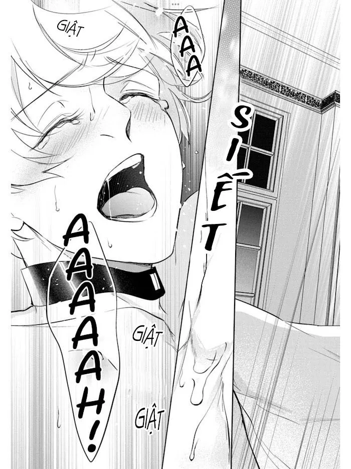 Omega cuối cùng không thể bị đánh dấu!!! Chapter 1 Trang 21