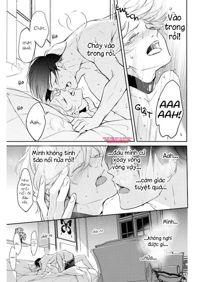 Omega cuối cùng không thể bị đánh dấu!!! Chapter 1 Trang 25