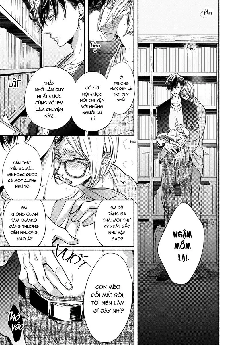 Omega Giả Vờ KIên Cường Đó Là Bạn Tình Của Tôi Chapter 2 Trang 17
