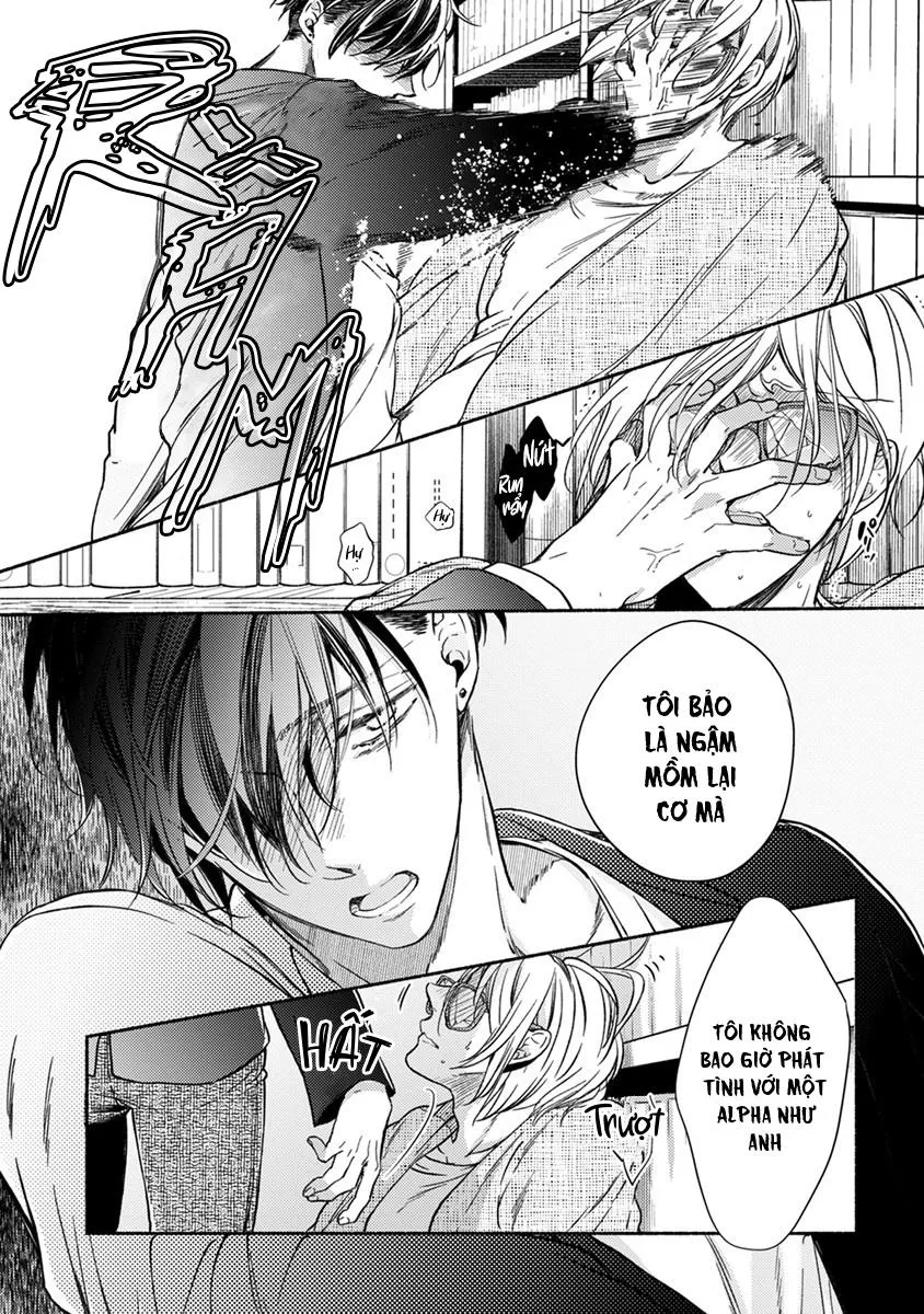 Omega Giả Vờ KIên Cường Đó Là Bạn Tình Của Tôi Chapter 2 Trang 18