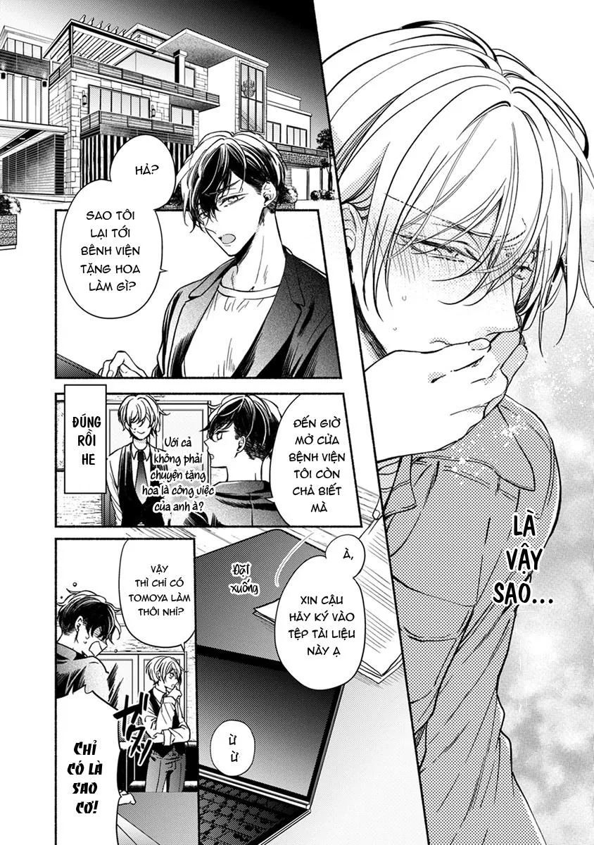 Omega Giả Vờ KIên Cường Đó Là Bạn Tình Của Tôi Chapter 2 Trang 24
