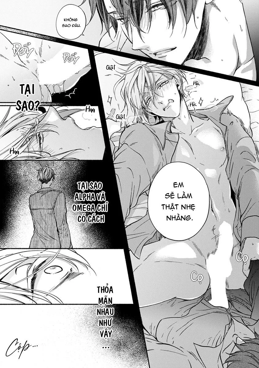 Omega Giả Vờ KIên Cường Đó Là Bạn Tình Của Tôi Chapter 2 Trang 43
