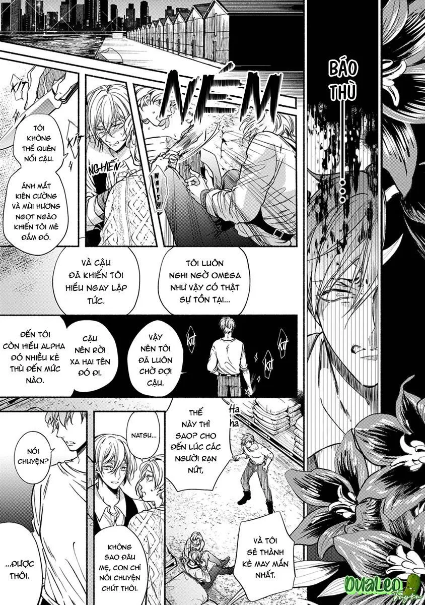 Omega Giả Vờ KIên Cường Đó Là Bạn Tình Của Tôi Chapter 3 Trang 23