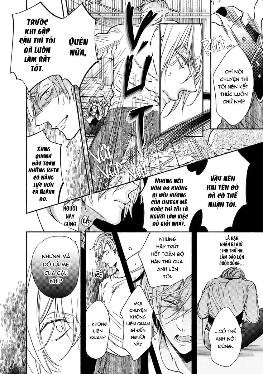 Omega Giả Vờ KIên Cường Đó Là Bạn Tình Của Tôi Chapter 3 Trang 24