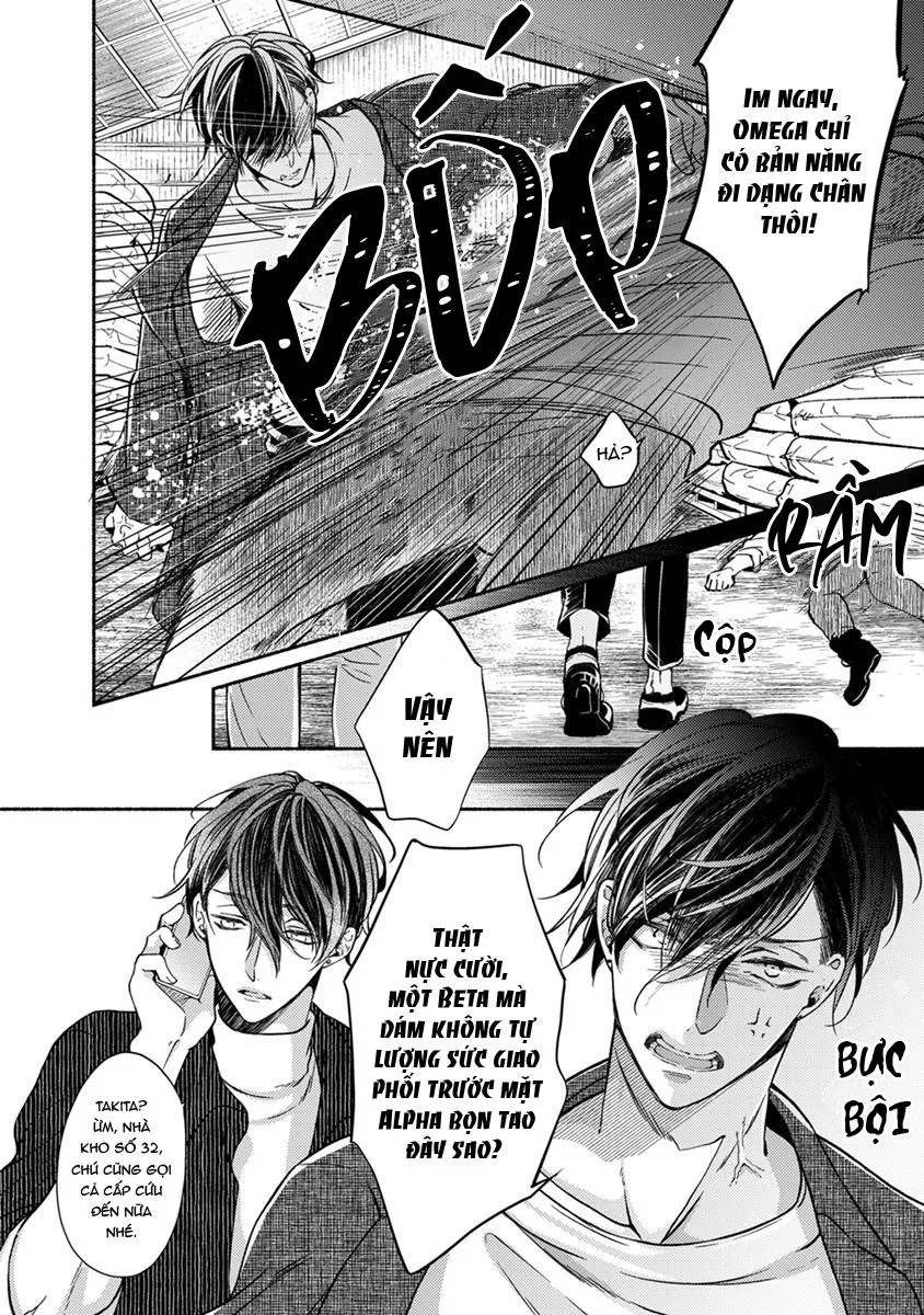 Omega Giả Vờ KIên Cường Đó Là Bạn Tình Của Tôi Chapter 3 Trang 32