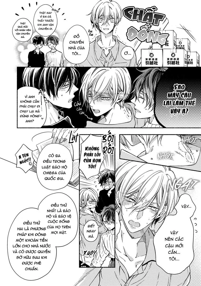Omega Giả Vờ KIên Cường Đó Là Bạn Tình Của Tôi Chapter 3 Trang 52