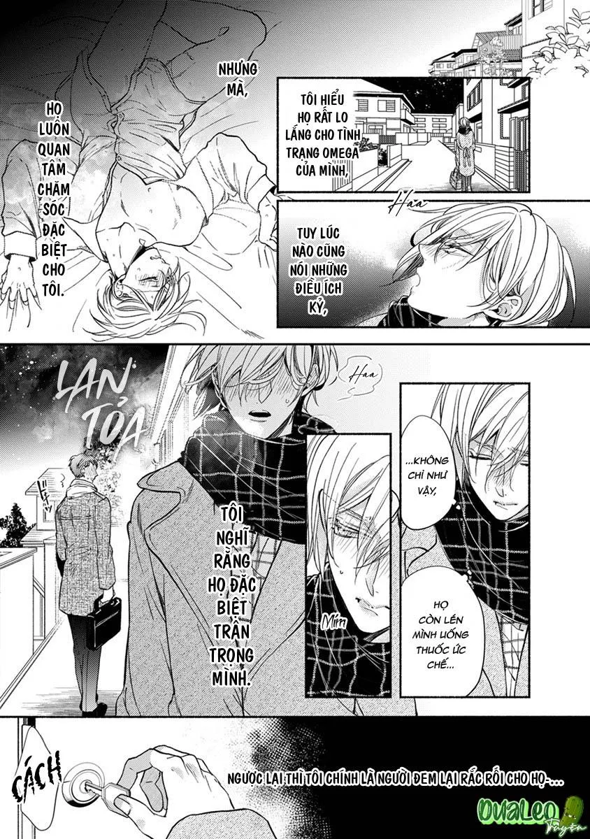 Omega Giả Vờ KIên Cường Đó Là Bạn Tình Của Tôi Chapter 4 Trang 3