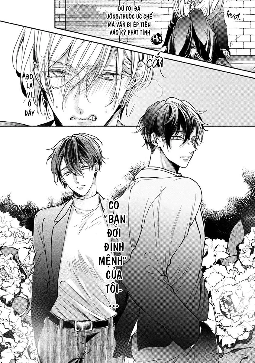 Omega Giả Vờ KIên Cường Đó Là Bạn Tình Của Tôi Chapter 1 Trang 11