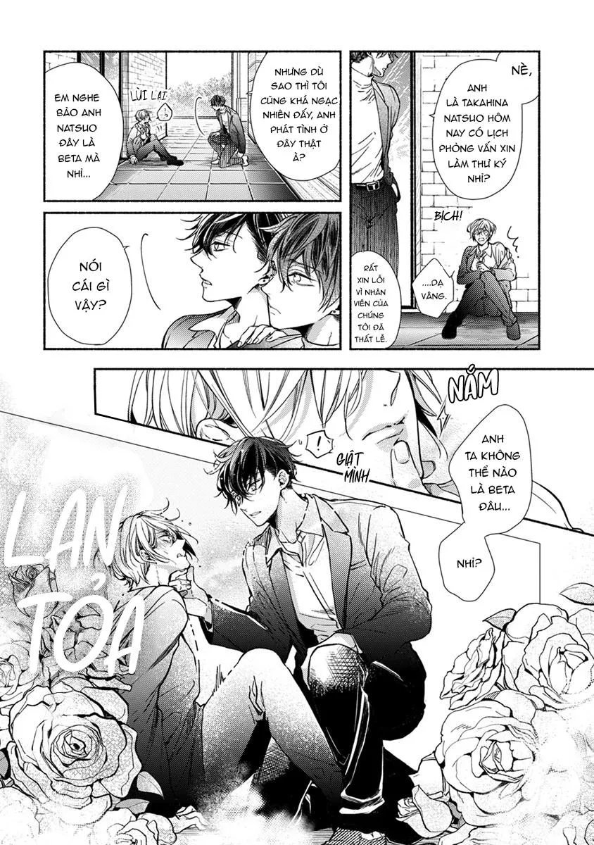 Omega Giả Vờ KIên Cường Đó Là Bạn Tình Của Tôi Chapter 1 Trang 13