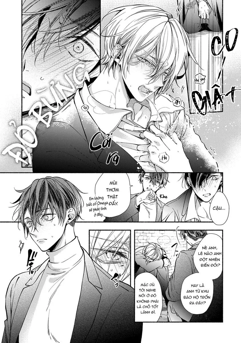 Omega Giả Vờ KIên Cường Đó Là Bạn Tình Của Tôi Chapter 1 Trang 14