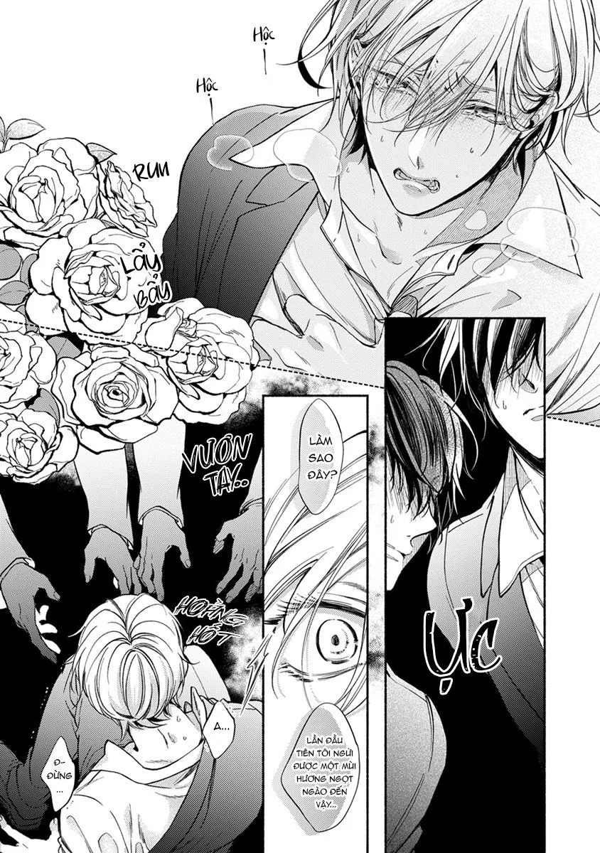 Omega Giả Vờ KIên Cường Đó Là Bạn Tình Của Tôi Chapter 1 Trang 15