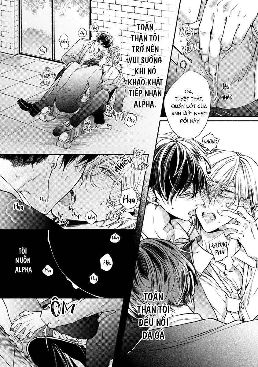 Omega Giả Vờ KIên Cường Đó Là Bạn Tình Của Tôi Chapter 1 Trang 17