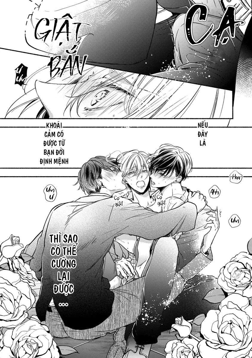Omega Giả Vờ KIên Cường Đó Là Bạn Tình Của Tôi Chapter 1 Trang 18