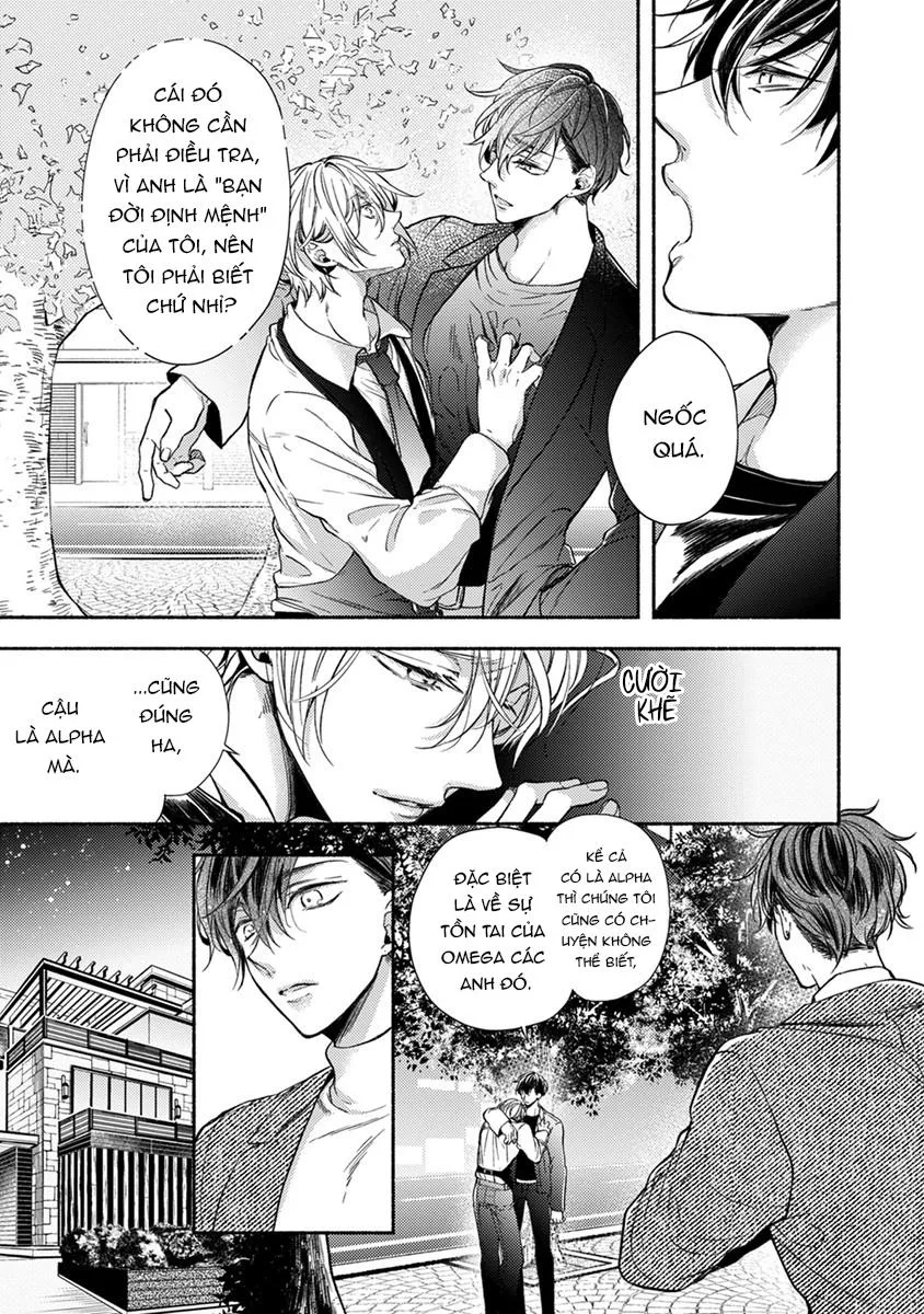 Omega Giả Vờ KIên Cường Đó Là Bạn Tình Của Tôi Chapter 1 Trang 43