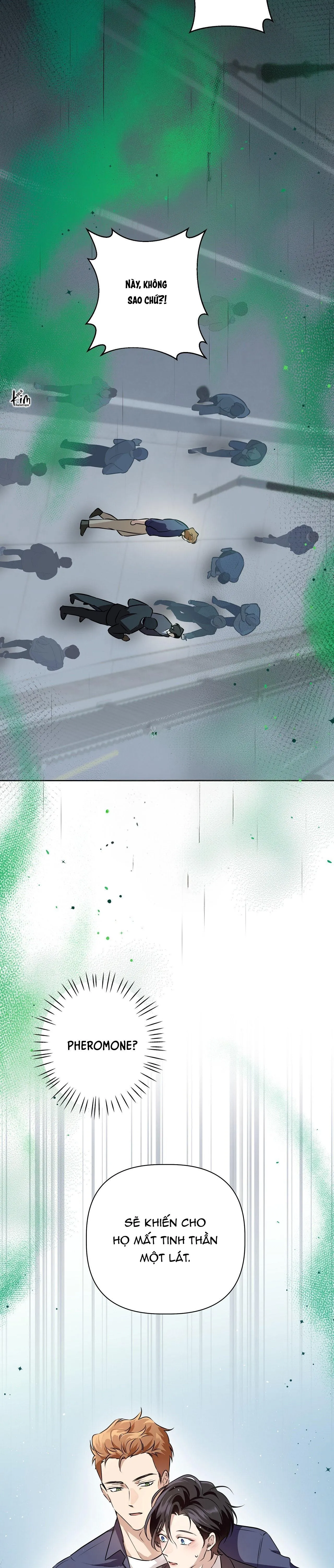 OMEGA HOÀN HẢO CỦA TÔI Chapter 3 Trang 17