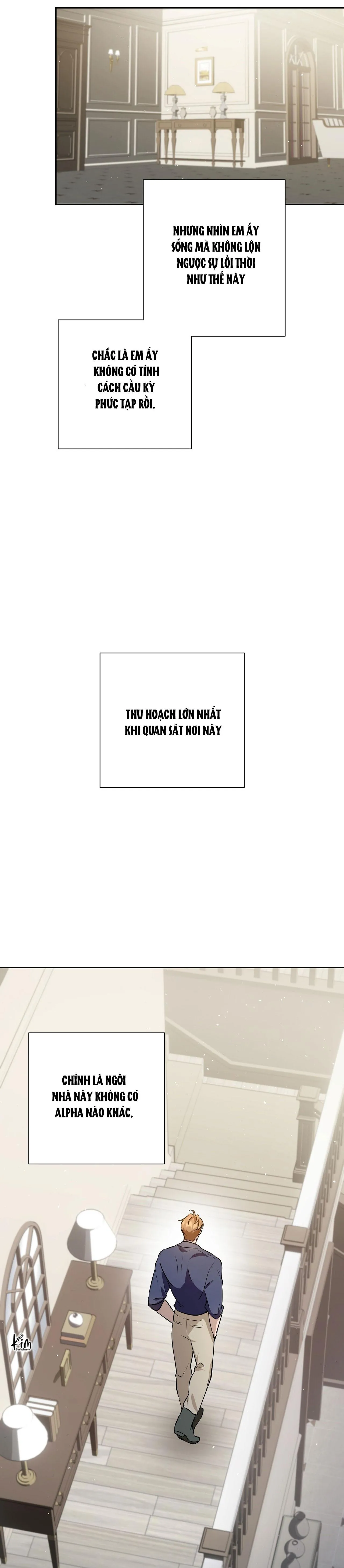 OMEGA HOÀN HẢO CỦA TÔI Chapter 3 Trang 32