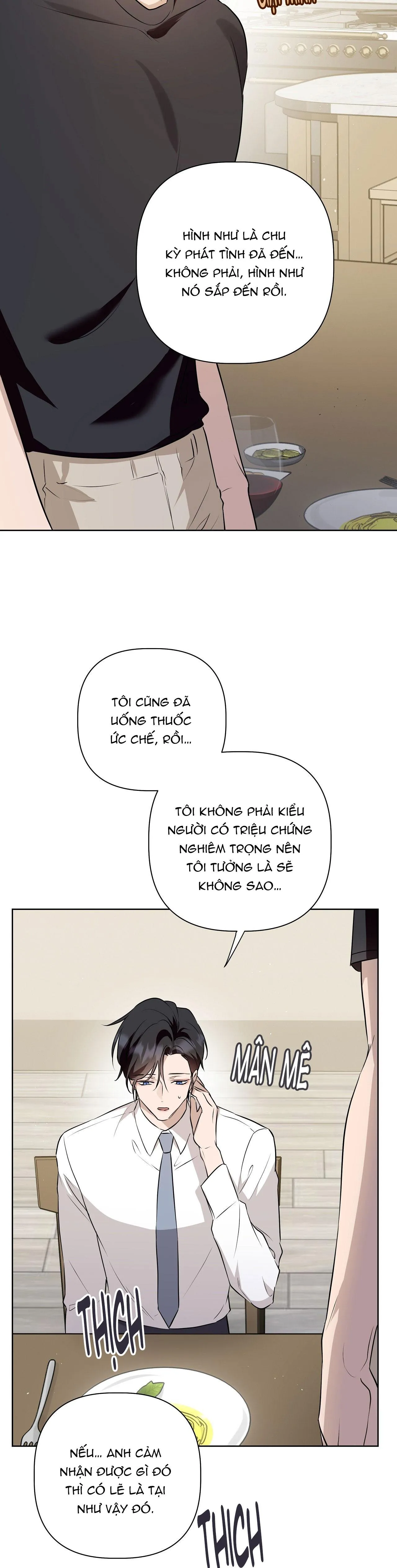 OMEGA HOÀN HẢO CỦA TÔI Chapter 5 Trang 13