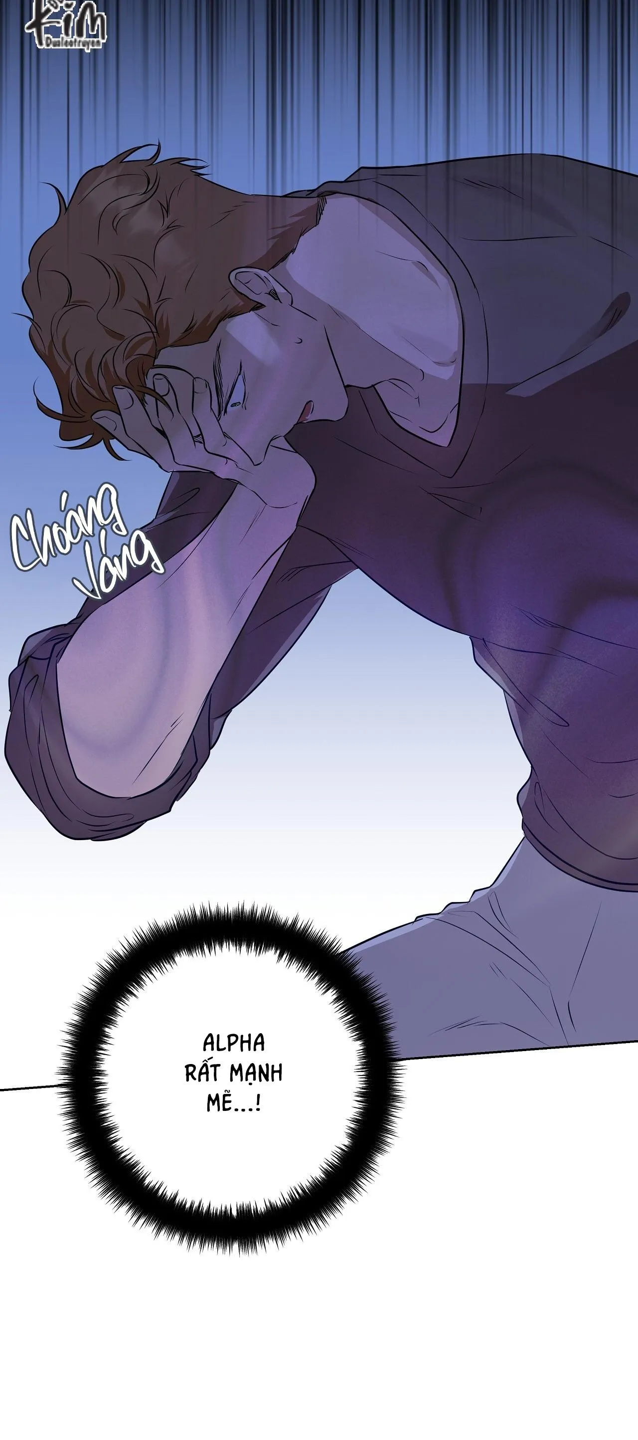 OMEGA HOÀN HẢO CỦA TÔI Chapter 14 Trang 11