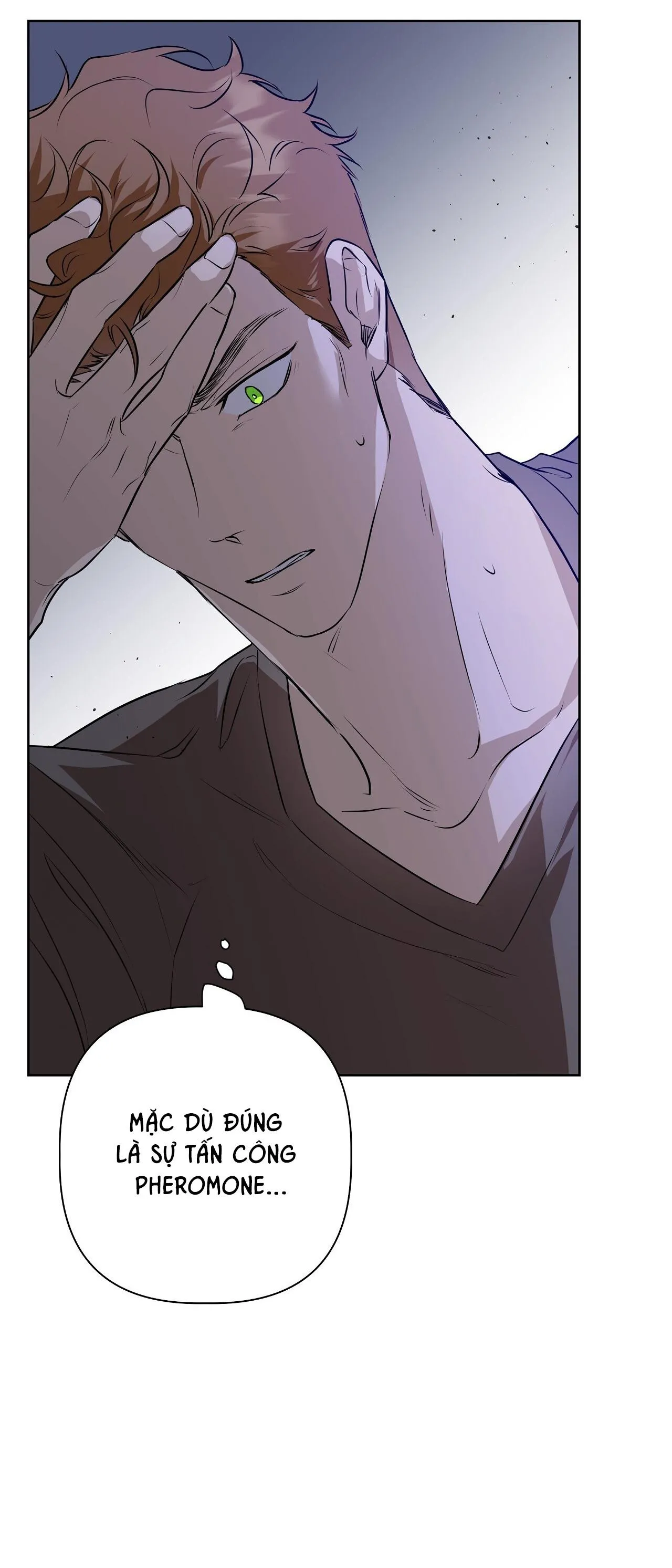 OMEGA HOÀN HẢO CỦA TÔI Chapter 14 Trang 13