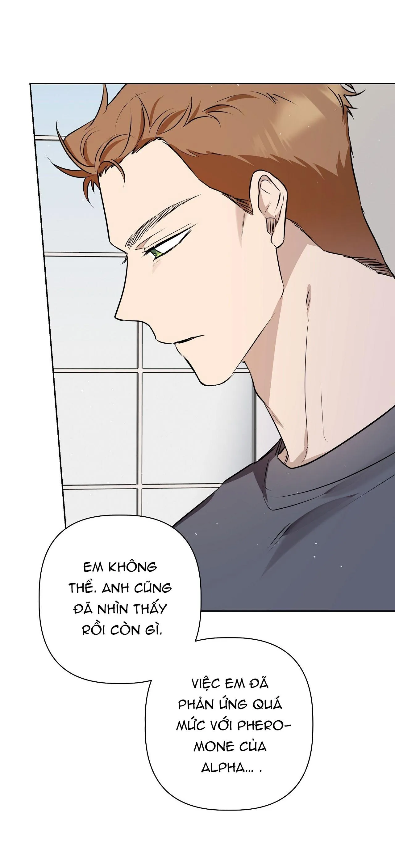 OMEGA HOÀN HẢO CỦA TÔI Chapter 16 Trang 7