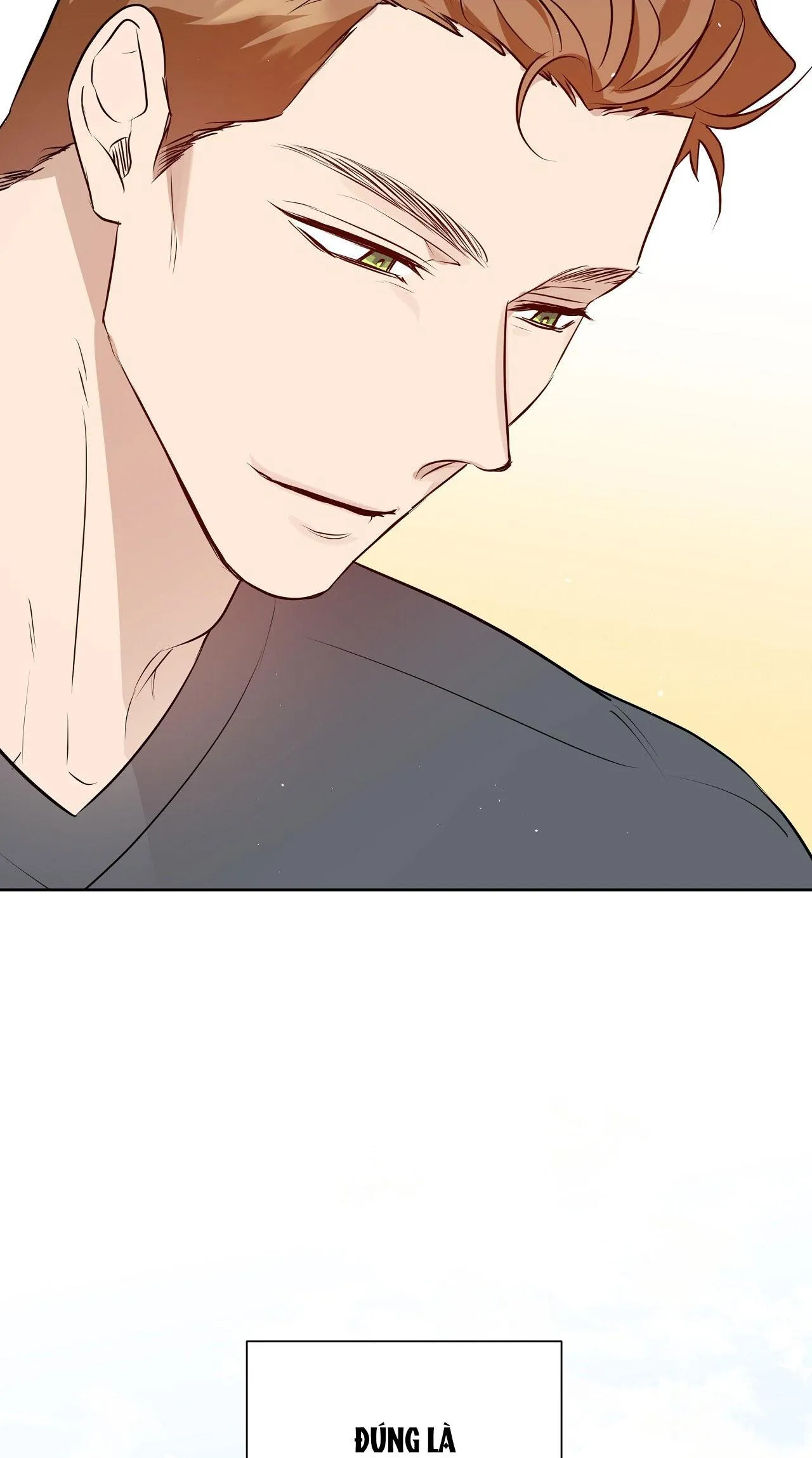 OMEGA HOÀN HẢO CỦA TÔI Chapter 22 Trang 49