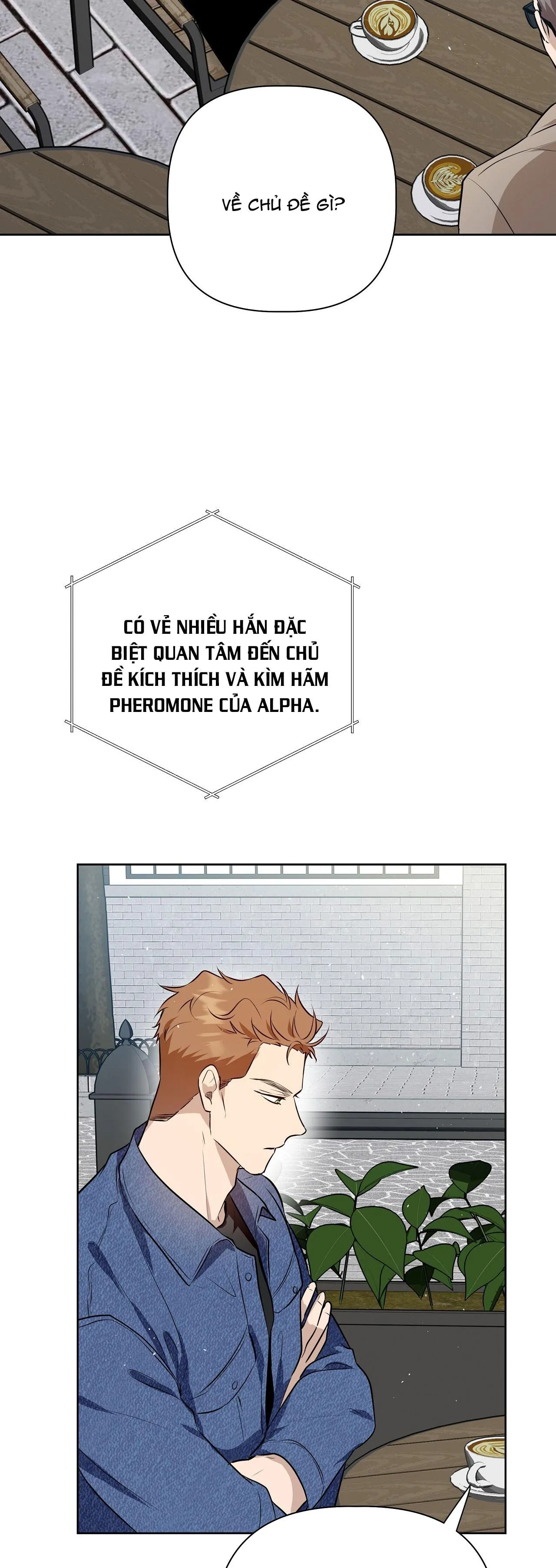 OMEGA HOÀN HẢO CỦA TÔI Chapter 27 Trang 32