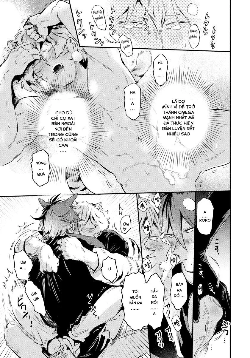 Omega Mùa Xuân Quý Hiếm Chapter 2 Trang 19