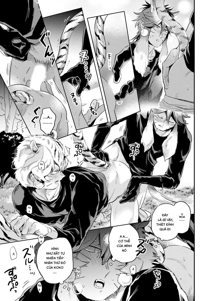 Omega Mùa Xuân Quý Hiếm Chapter 2 Trang 21