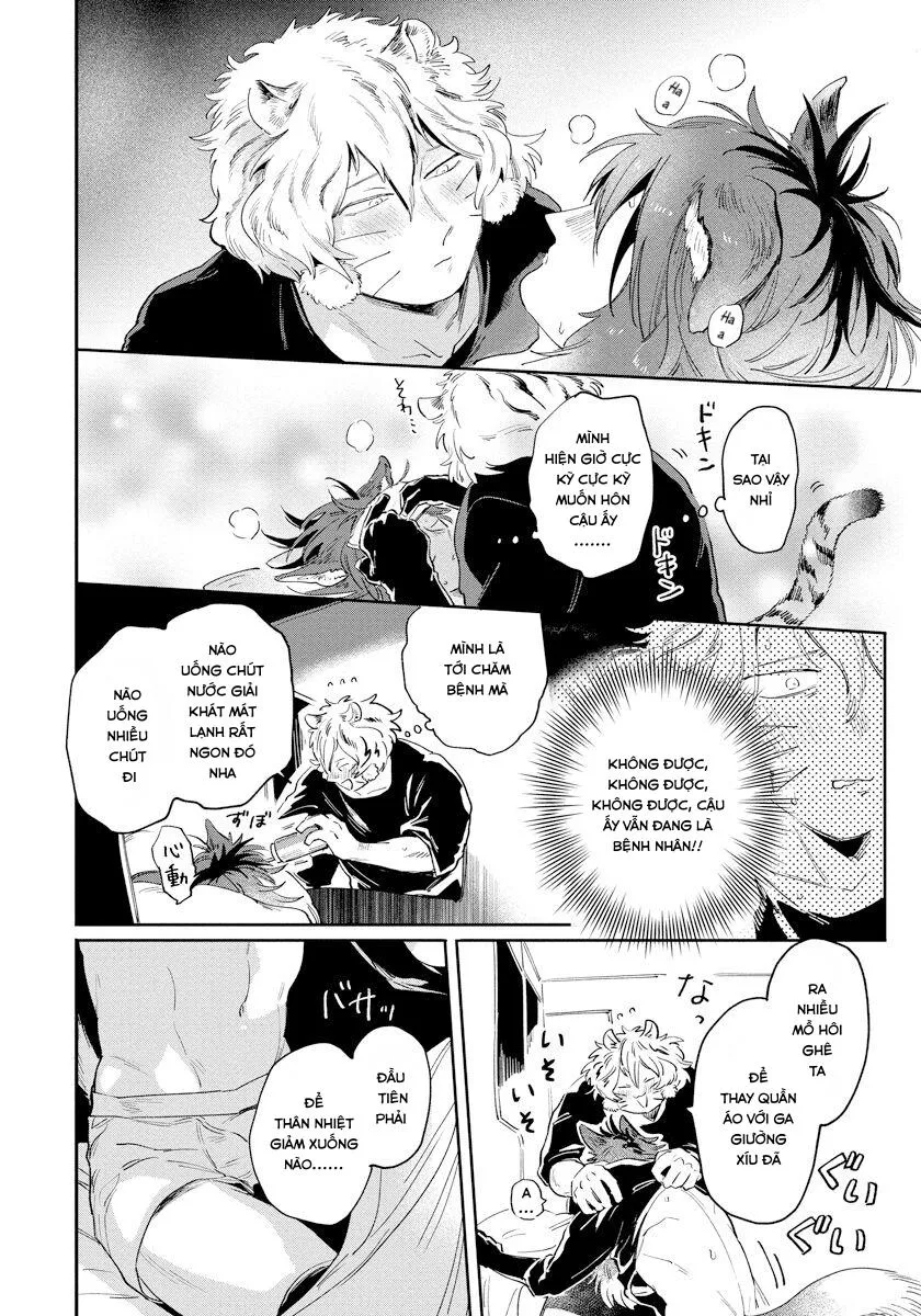 Omega Mùa Xuân Quý Hiếm Chapter 2 Trang 34