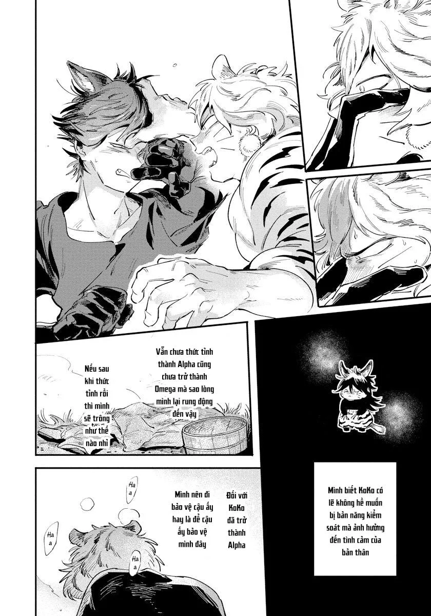 Omega Mùa Xuân Quý Hiếm Chapter 2 Trang 42